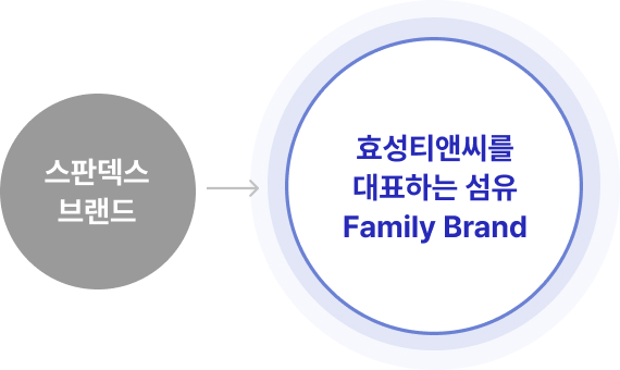 스판덱스 브랜드 -> 효성티앤씨를 대표하는 섬유 Family Brand